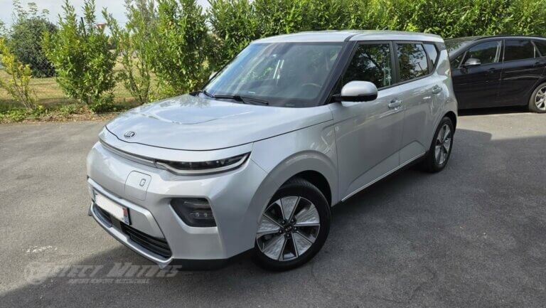 KIA e-Soul active business 204ch